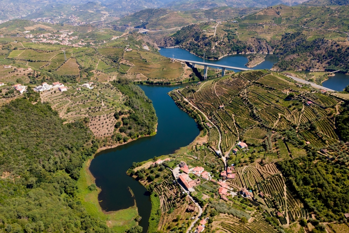 douro valley day trop from porto portugal image 1